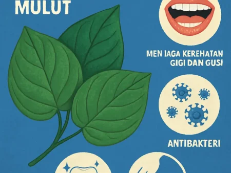 Daun Sirih dan Manfaatnya bagi Kesehatan Mulut